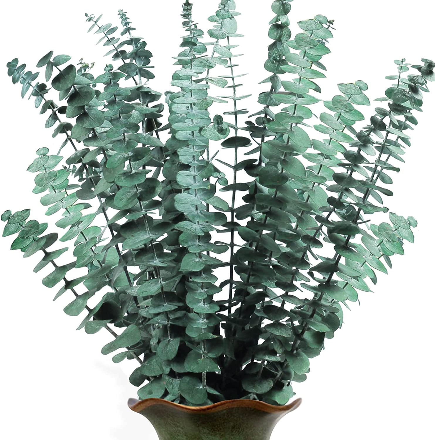 dried_flower - preserved_flower - fake_flower - 25Pcs Dried Preserved Eucalyptus Stems for Shower 17" Real Fresh Plant Bundle - Molly Garden - Molly_Garden_Floral