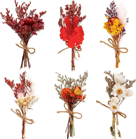 dried_flower - preserved_flower - fake_flower - 6Pcs Mini Mixed Dried Flowers Bouquet with 3 Gold Foil Flower Stickers - Molly Garden - Molly_Garden_Floral