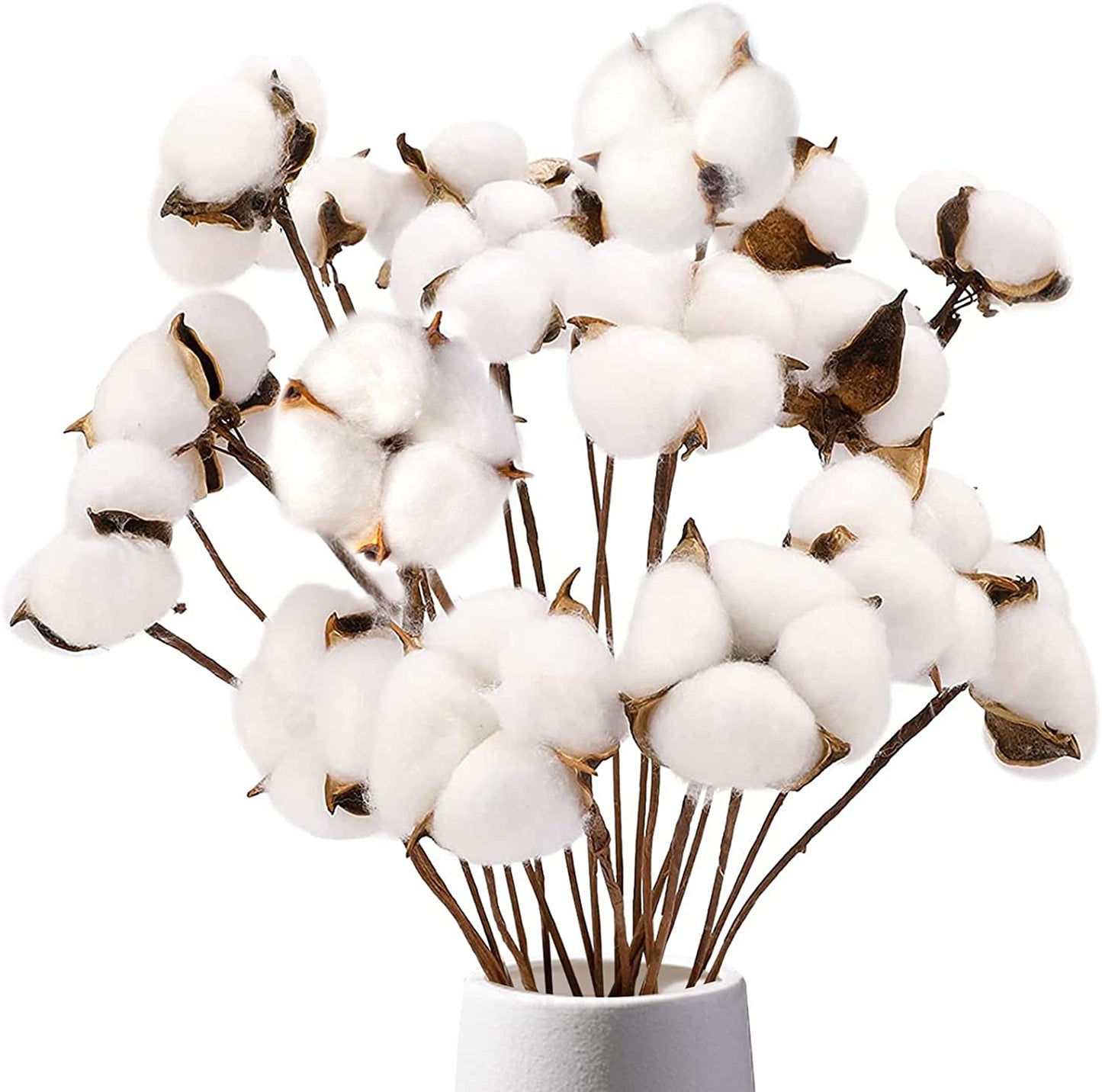dried_flower - preserved_flower - fake_flower - Cotton Stems Natural Dried Plant 8Packs Total 15 Balls Spring Blooms Floral - Molly Garden - Molly_Garden_Floral