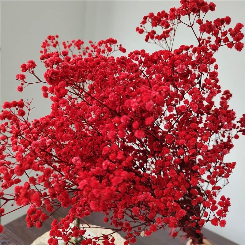 dried_flower - preserved_flower - fake_flower - 2500+Head Dried Babys Breath Flowers Bouquet 17.2inch Natural Gypsophila - Molly Garden - Molly_Garden_Floral