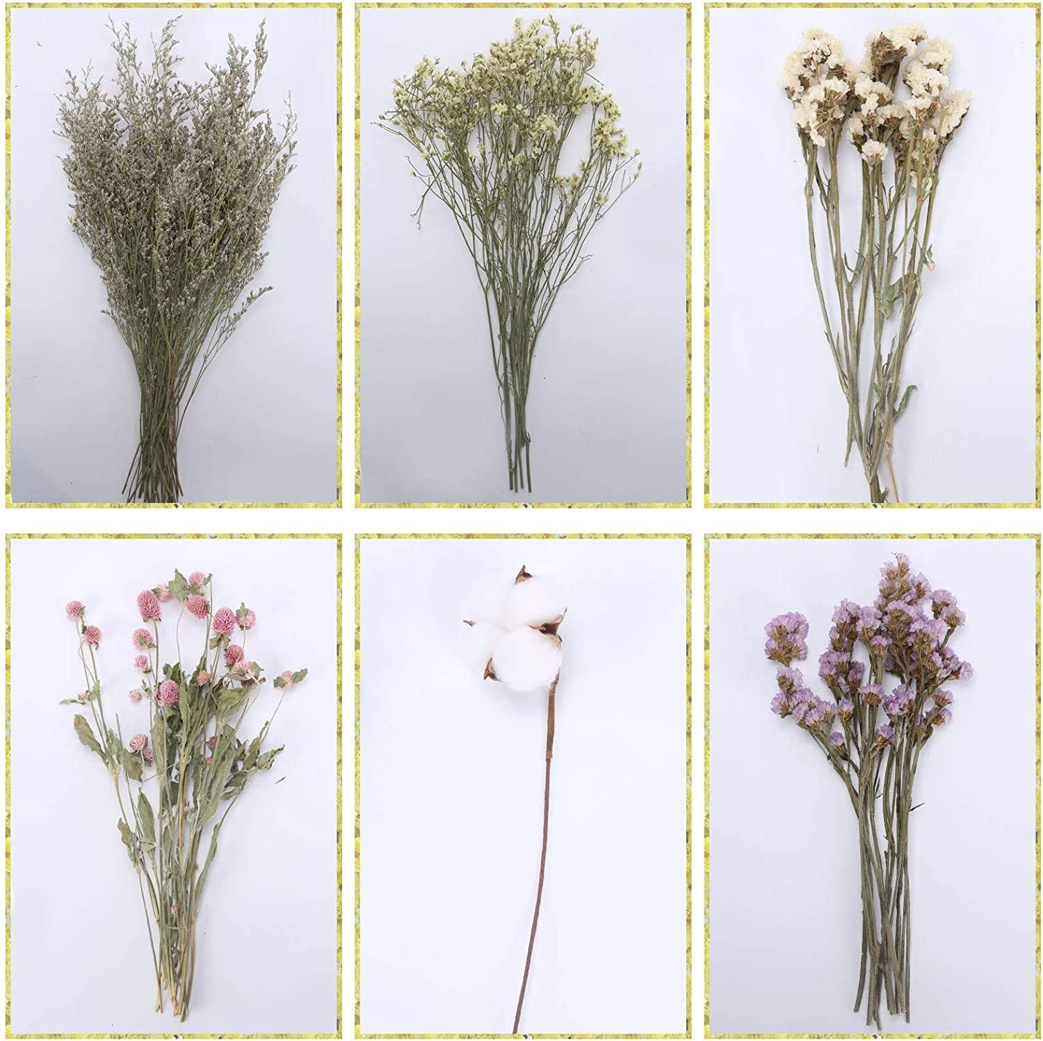 dried_flower - preserved_flower - fake_flower - Natural Flowers Bouquet Dried Cotton Stem Lover Grass Filler Floral Arrangement - Molly Garden - Molly_Garden_Floral