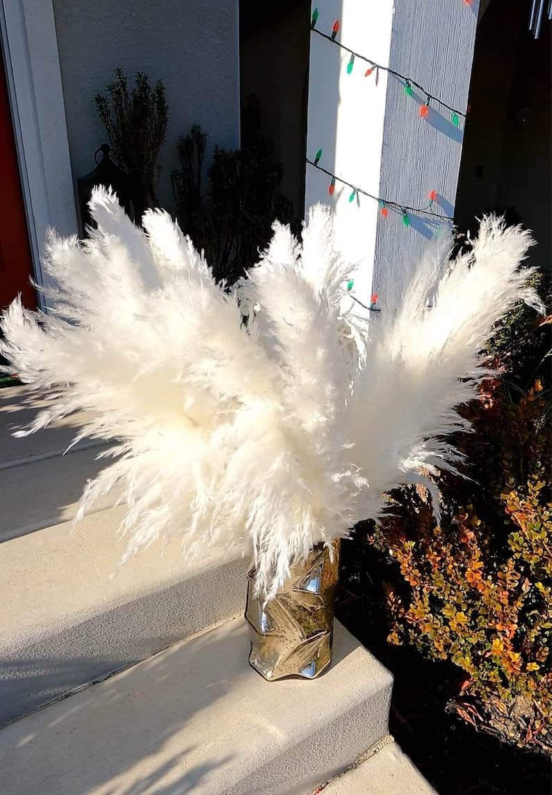 dried_flower - preserved_flower - fake_flower - Extra Large White Dried Pampas Grass 3 to 4ft Dry Flowers Boho Home Decor - Molly Garden - Molly_Garden_Floral