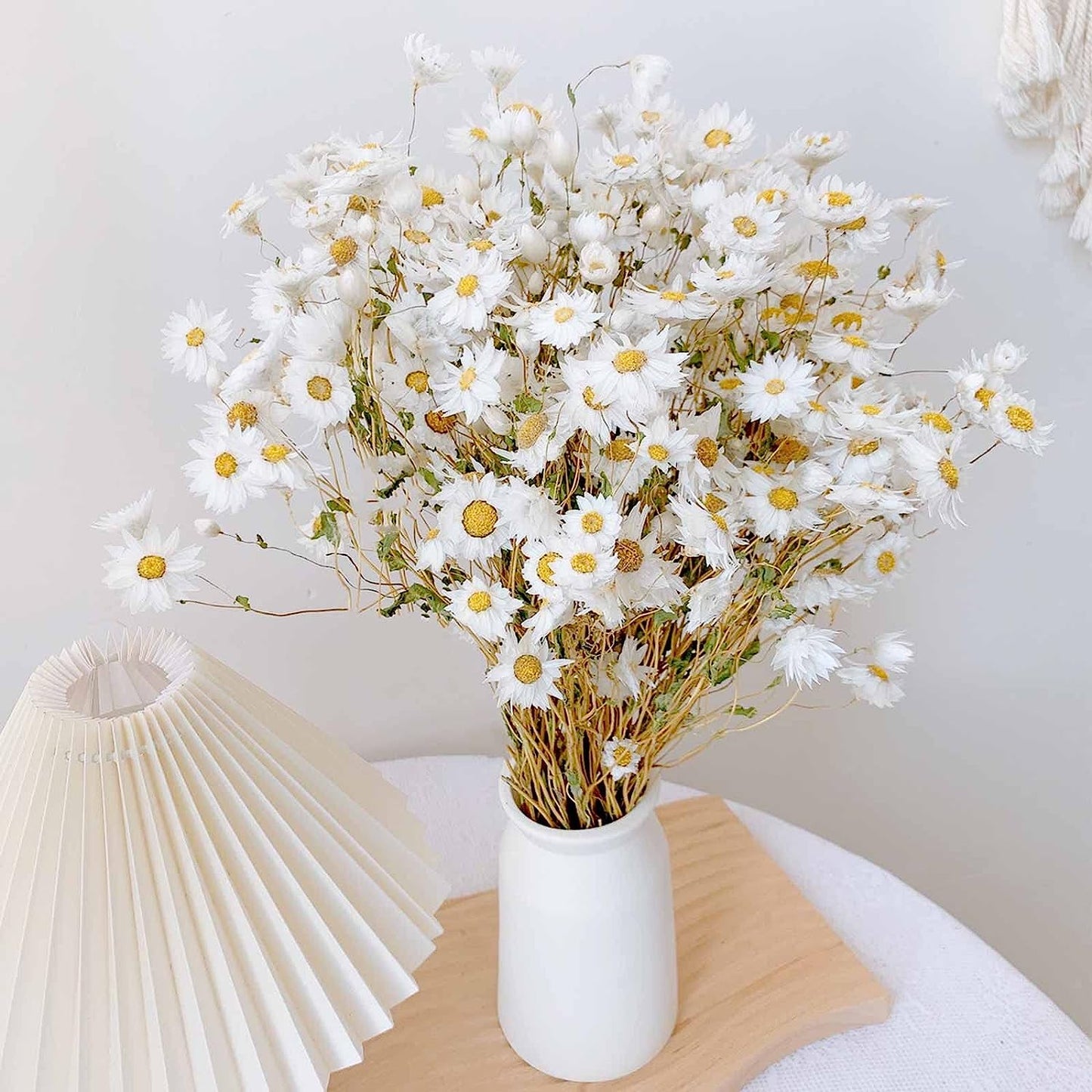 dried_flower - preserved_flower - fake_flower - 200+Stems Real Dry White Flowers with Dried Daisy Bouquet 17'' Gerber Daisies - Molly Garden - Molly_Garden_Floral