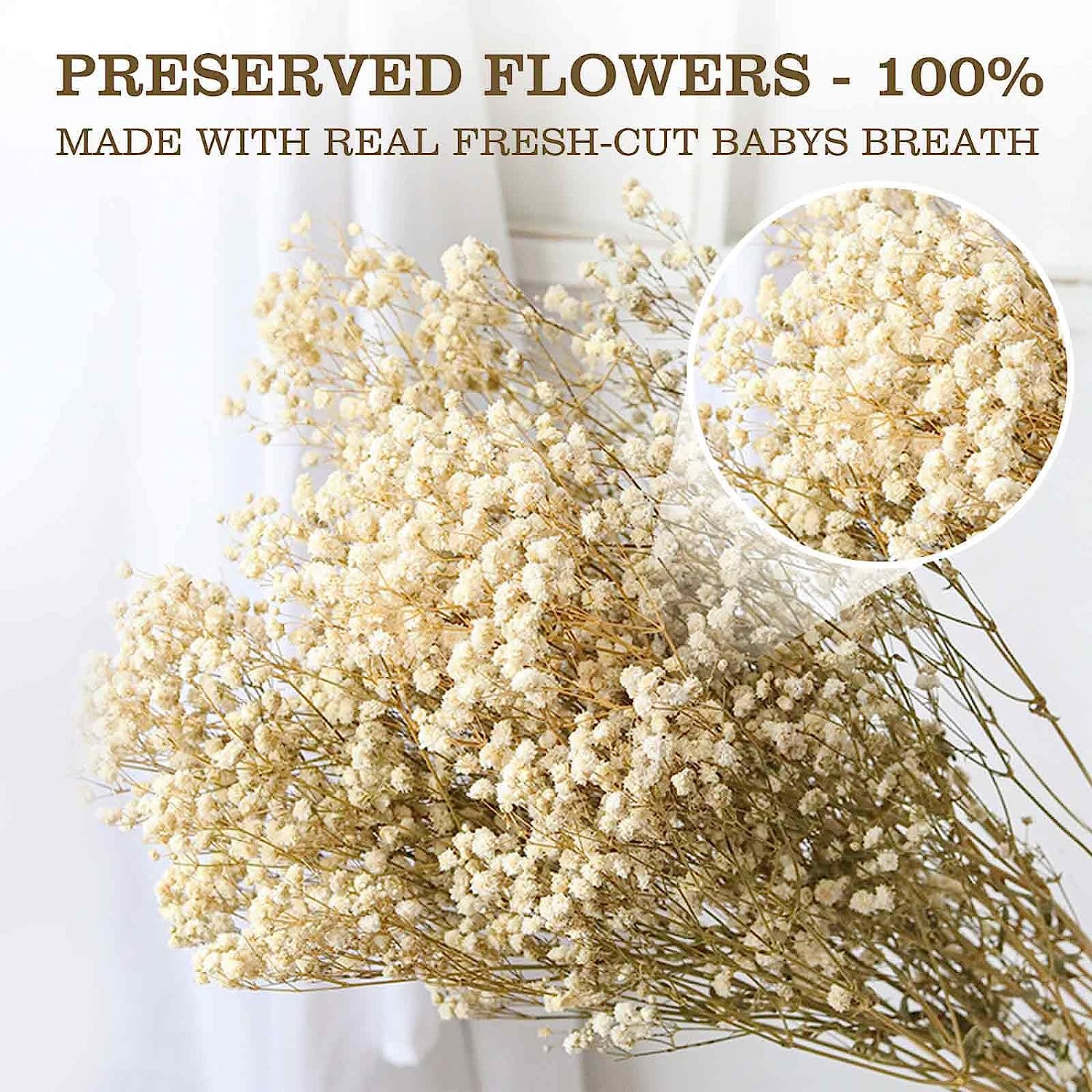 dried_flower - preserved_flower - fake_flower - 2500+Head Dried Babys Breath Flowers Bouquet 17'' Natural Gypsophila Branches - Molly Garden - Molly_Garden_Floral