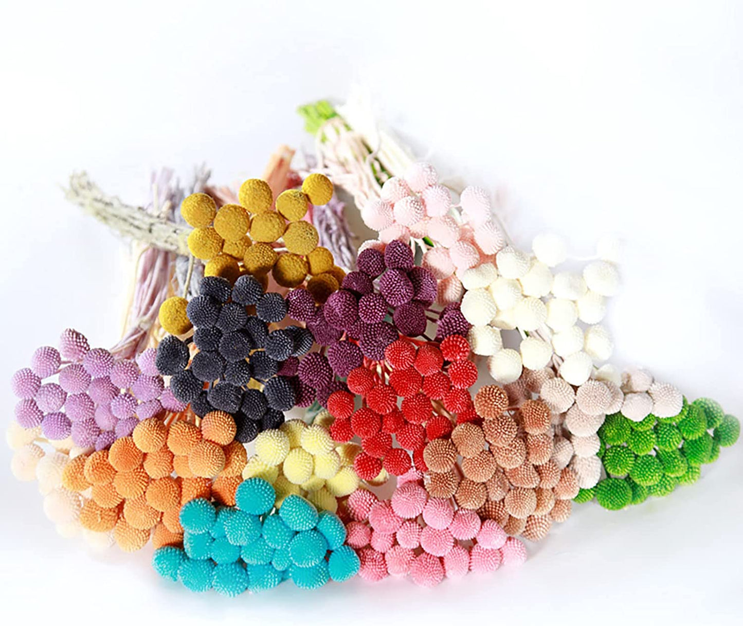 dried_flower - preserved_flower - fake_flower - 20Pcs Natural Dried Flowers Billy Balls 16" Bouquet Floral Arrangements Bouquet - Molly Garden - Molly_Garden_Floral