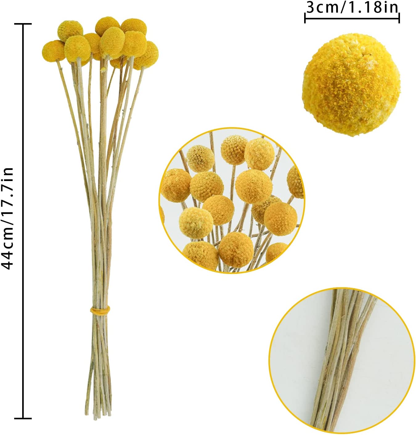 dried_flower - preserved_flower - fake_flower - 30Pcs Yellow Natural Dried Flowers Craspedia Billy Balls Flowers Billy Buttons - Molly Garden - Molly_Garden_Floral