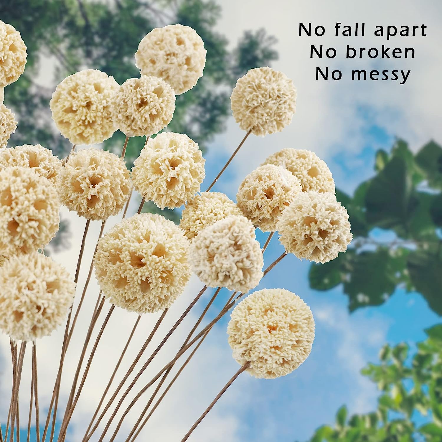 dried_flower - preserved_flower - fake_flower - 24Pcs Dried Craspedia Billy Balls Flowers 18” Natural Floral Arrangements - Molly Garden - Molly_Garden_Floral
