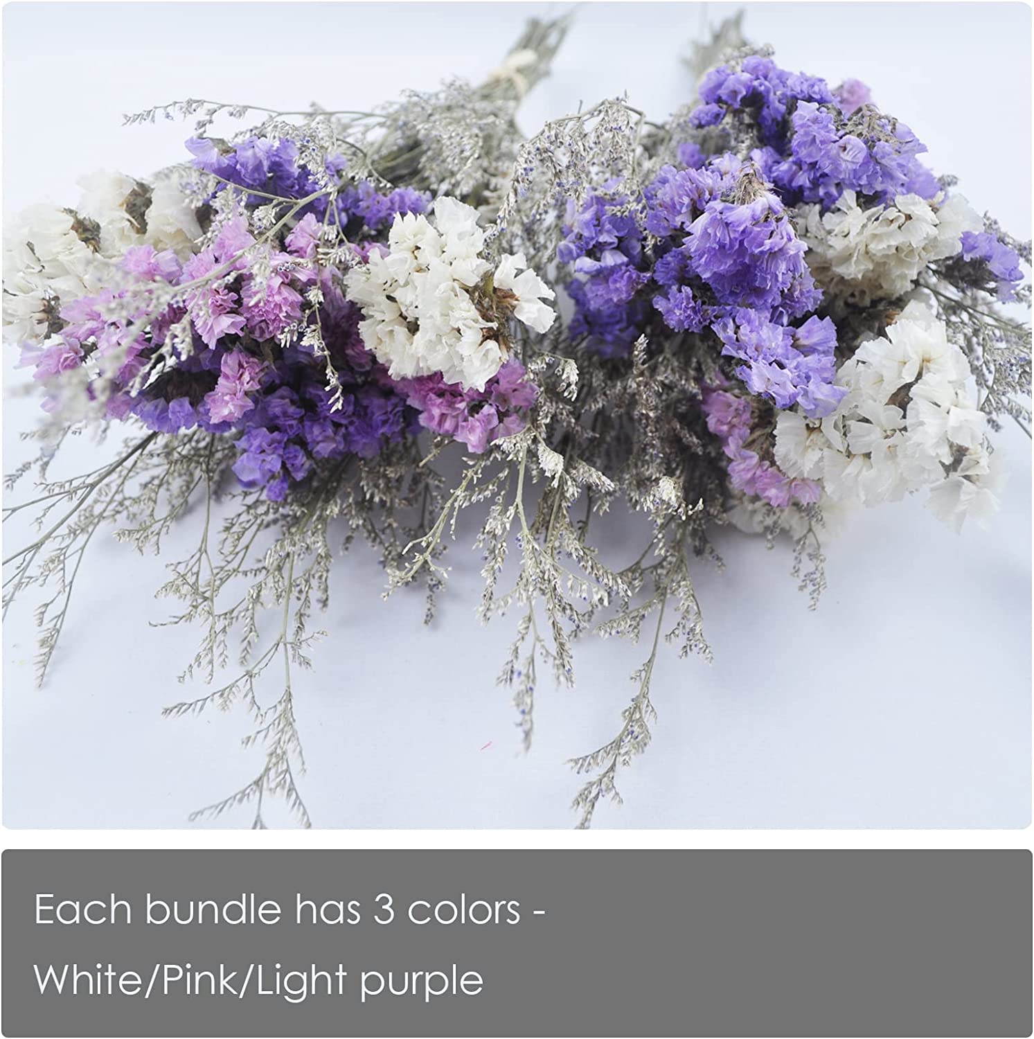 dried_flower - preserved_flower - fake_flower - 2Packs of Caspia Statice/Sea Lavender Dried Flower Bouquets 100% Natural - Molly Garden - Molly_Garden_Floral