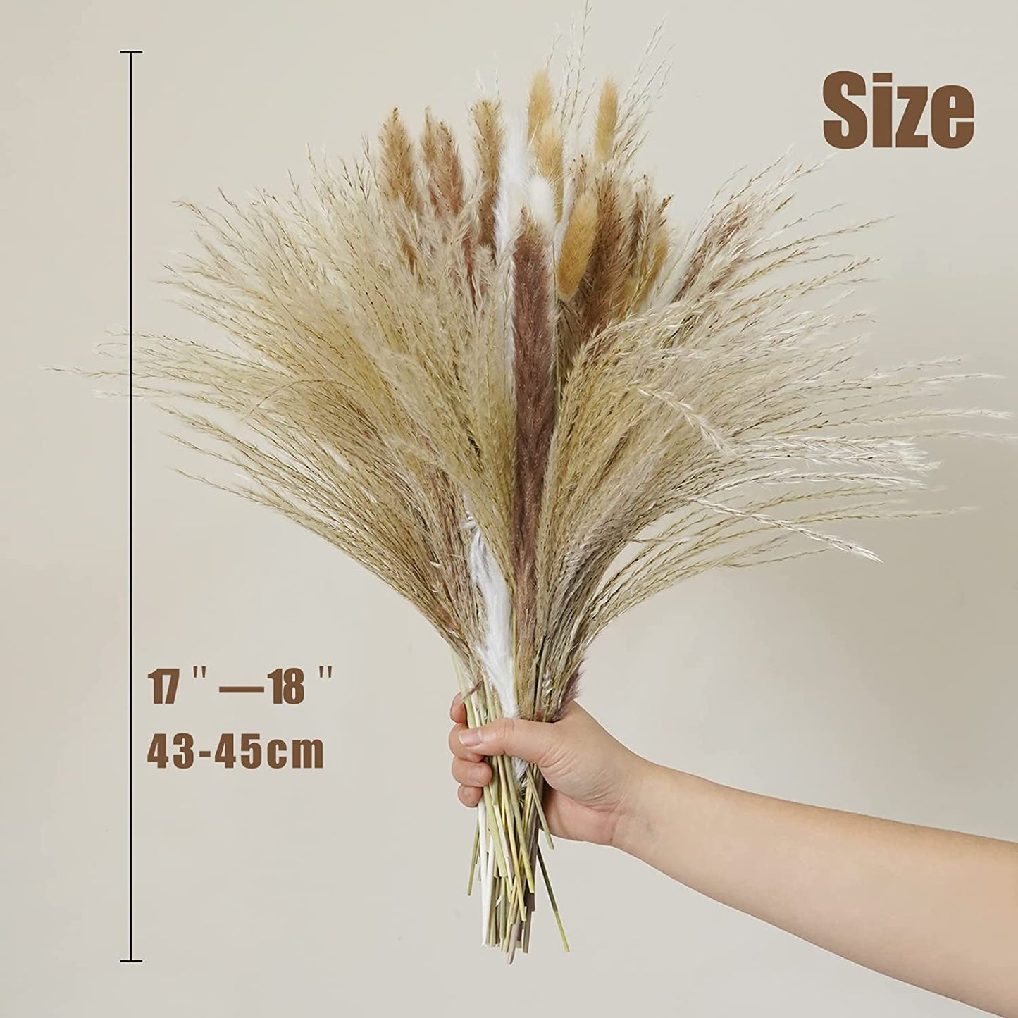 dried_flower - preserved_flower - fake_flower - 120Pcs Dried Pampas Grass Home Decor with Bunny Tails Reed Grass Bouquet - Molly Garden - Molly_Garden_Floral