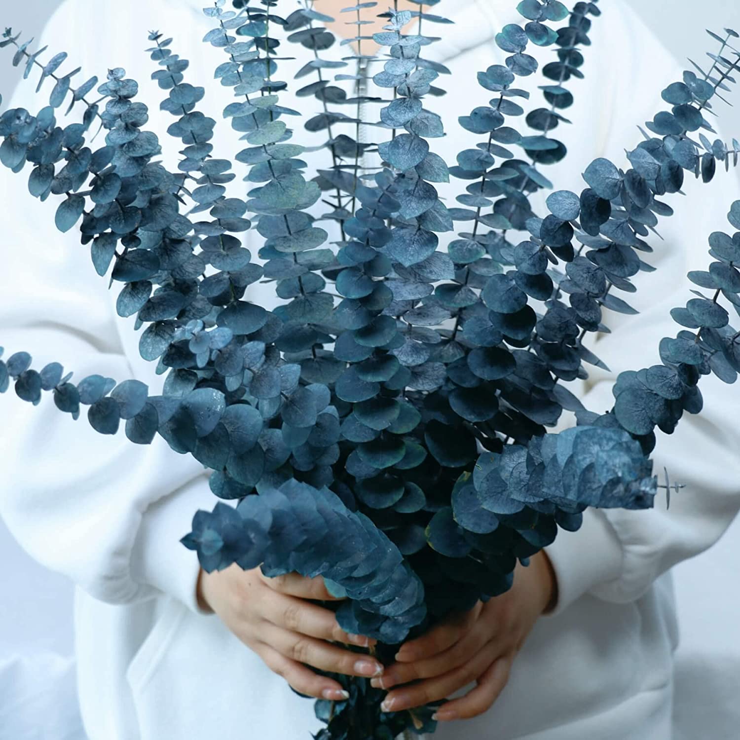 dried_flower - preserved_flower - fake_flower - 17Pcs-Blue-Dried-Preserved-Eucalyptus-Stems 17" Natural Real Hanging for Shower - Molly Garden - Molly_Garden_Floral