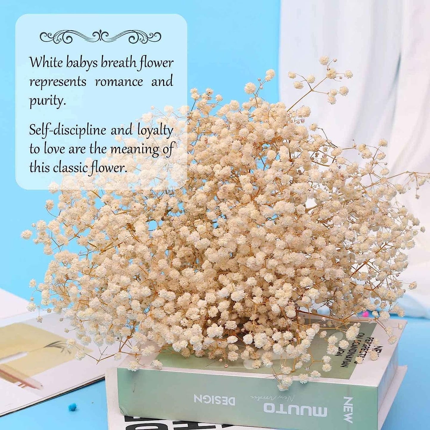 dried_flower - preserved_flower - fake_flower - 2500+Head Dried Babys Breath Flowers Bouquet 17'' Natural Gypsophila Branches - Molly Garden - Molly_Garden_Floral