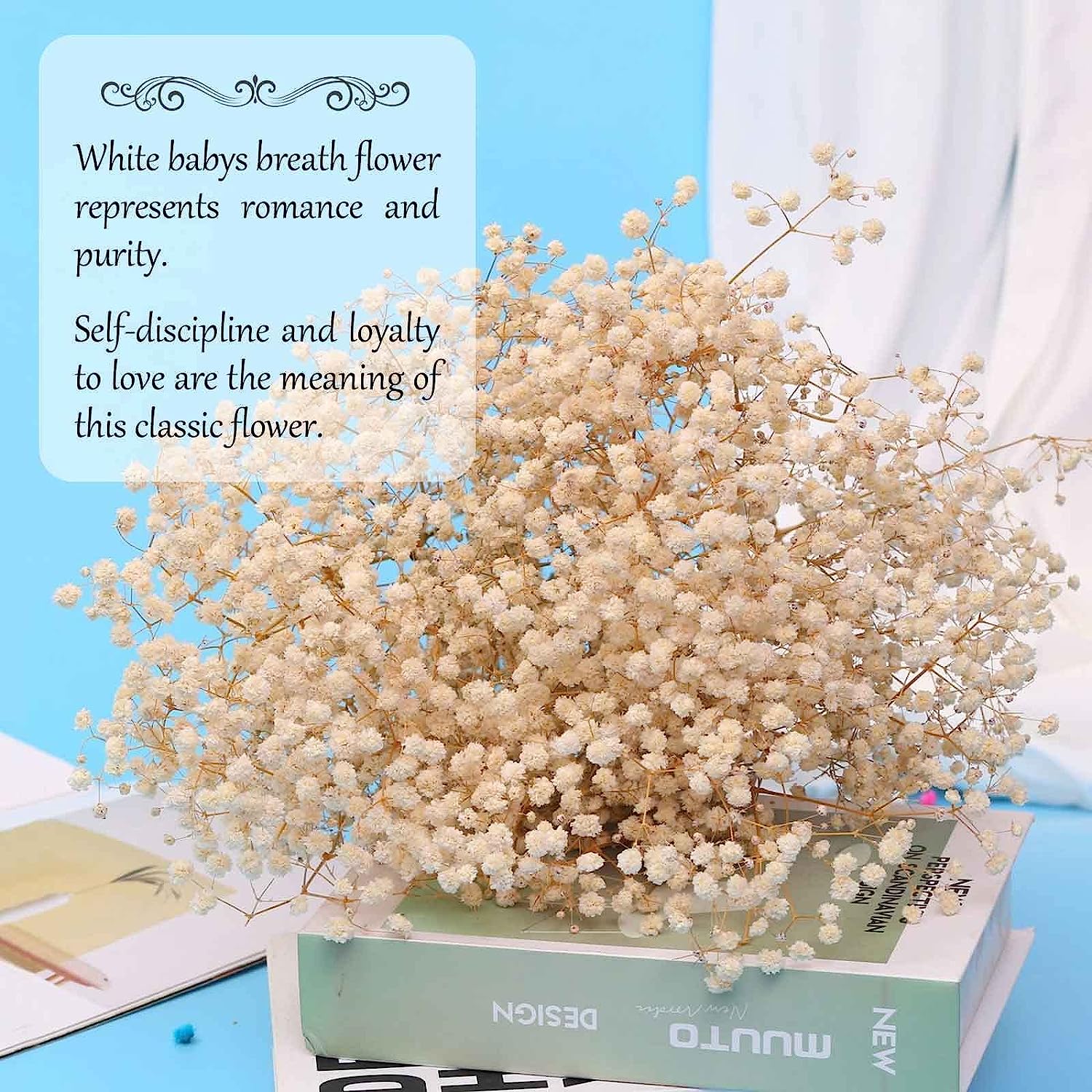 dried_flower - preserved_flower - fake_flower - 2500+Head Dried Babys Breath Flowers Bouquet 17'' Natural Gypsophila Branches - Molly Garden - Molly_Garden_Floral