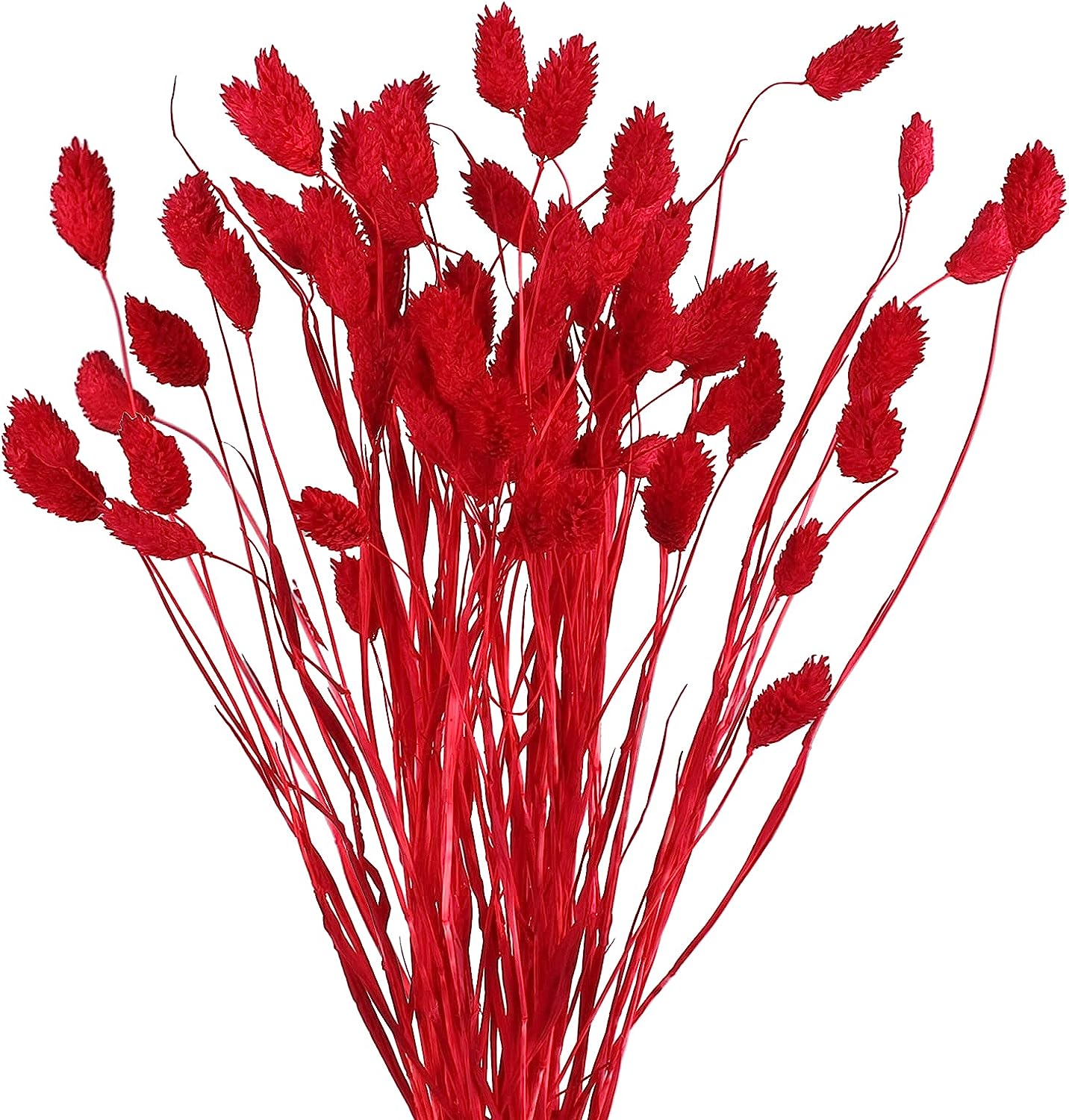 dried_flower - preserved_flower - fake_flower - 60Pcs Dried Flowers Bouquet Natural Red Bunny Tails Floral Arrangements - Molly Garden - Molly_Garden_Floral