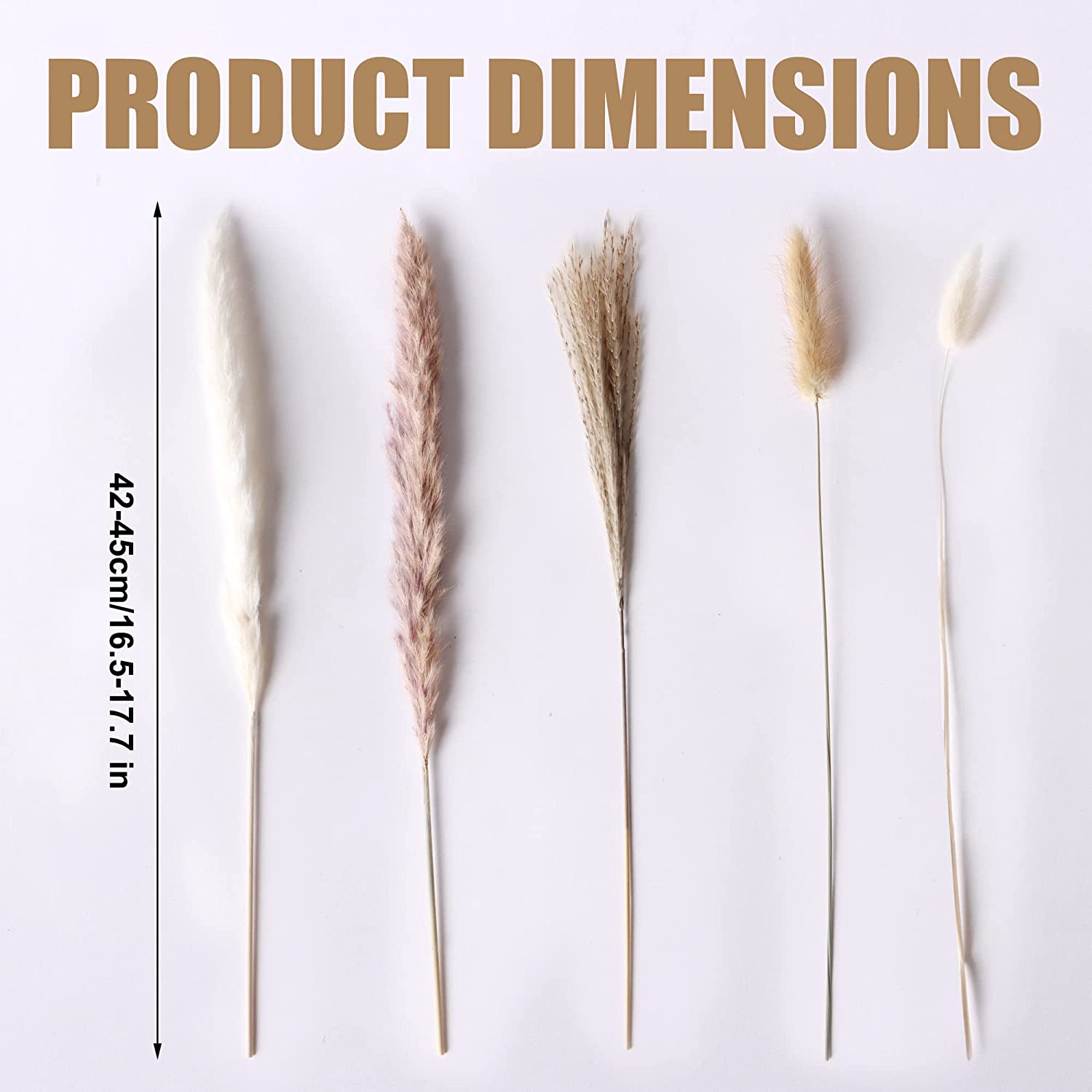 dried_flower - preserved_flower - fake_flower - 85Pcs Dried Flowers Arrangements White & Natural Pampas Grass, Reed, Bunny Tails - Molly Garden - Molly_Garden_Floral