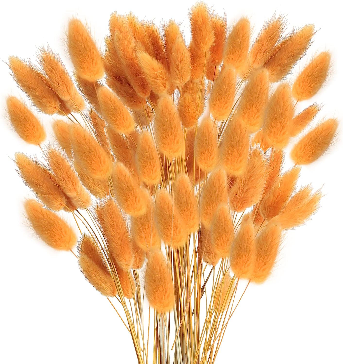 dried_flower - preserved_flower - fake_flower - 120Pcs Dried Bunny Tails Flowers Rabbit Tail Grass Lagurus Ovatus Bouquet - Molly Garden - Molly_Garden_Floral