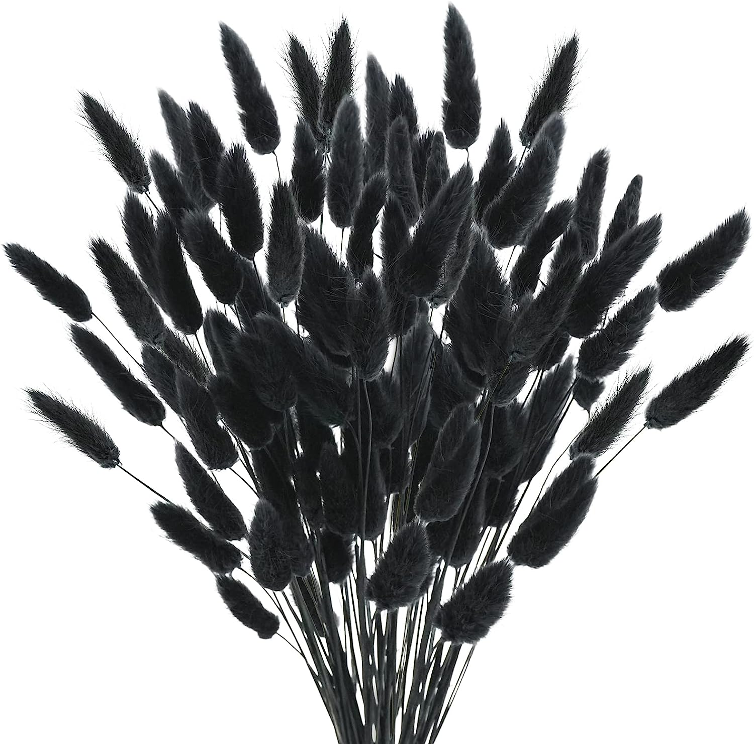 dried_flower - preserved_flower - fake_flower - 50Pcs Dried Lagurus Ovatus 17’’ Natural Bunny Tails Flowers Dried Pampas Grass - Molly Garden - Molly_Garden_Floral