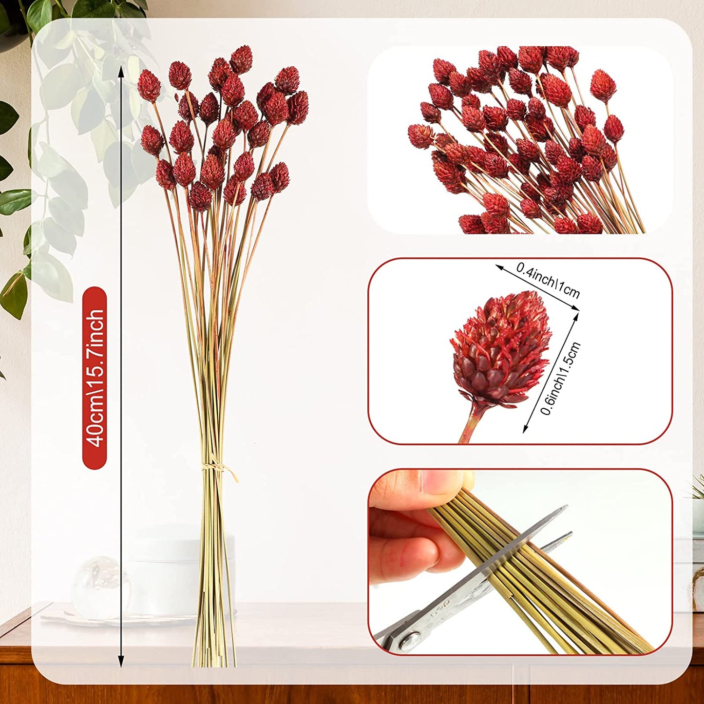 dried_flower - preserved_flower - fake_flower - 60Pcs Red Dried Pine Ball for Vase Bouquet Bulk 16" Mini Billy Ball Flowers Natural - Molly Garden - Molly_Garden_Floral