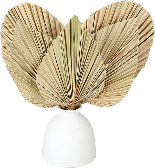 dried_flower - preserved_flower - fake_flower - Natural Dried Palm Leaves Real Plants Home Decor Boho Heart Oval Shape - Molly Garden - Molly_Garden_Floral