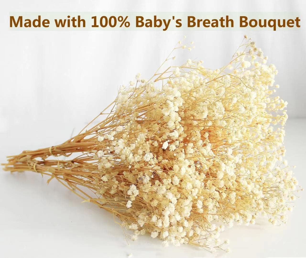 dried_flower - preserved_flower - fake_flower - 3000+Head Ivory White Babys Breath Flower Bouquet with Dry Floral - Molly Garden - Molly_Garden_Floral