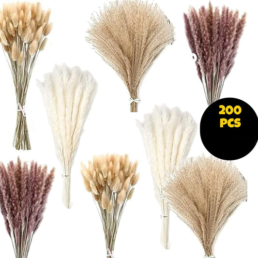 dried_flower - preserved_flower - fake_flower - 200Pcs Pampas Grass Dried Flower Arrangement Bunny Tail Feather Grass - Molly Garden - Molly_Garden_Floral
