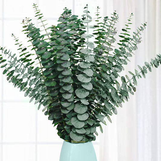 dried_flower - preserved_flower - fake_flower - 20Pcs Preserved Dried Eucalyptus Stems 17" Natural Fresh Branches for Shower - Molly Garden - Molly_Garden_Floral