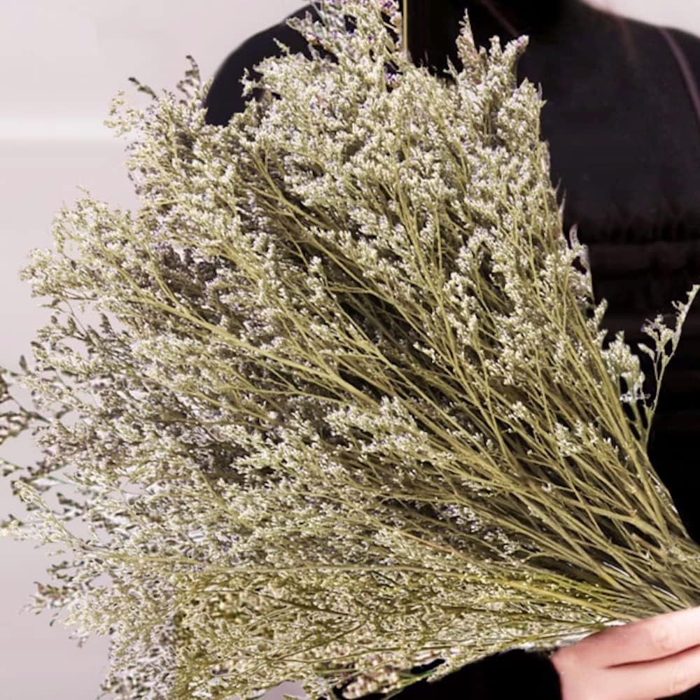 dried_flower - preserved_flower - fake_flower - 25+Stems Real Fresh Caspia Bellidifolium Preserved Natural Limonium Bouquet - Molly Garden - Molly_Garden_Floral