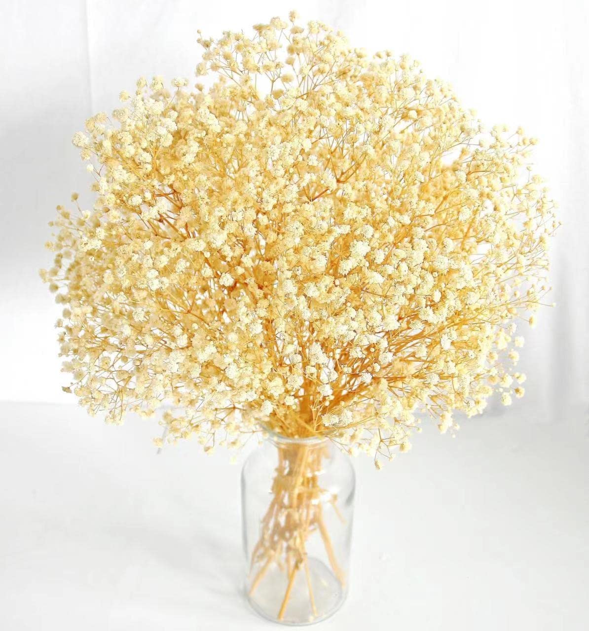 dried_flower - preserved_flower - fake_flower - 3000+Head Ivory White Babys Breath Flower Bouquet with Dry Floral - Molly Garden - Molly_Garden_Floral