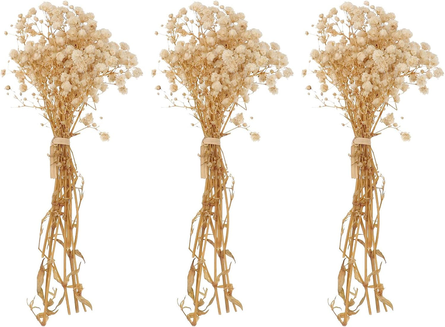 dried_flower - preserved_flower - fake_flower - 3Bunches Dried Babys Breath Flower Bouquets Natural Gypsophila Branches - Molly Garden - Molly_Garden_Floral
