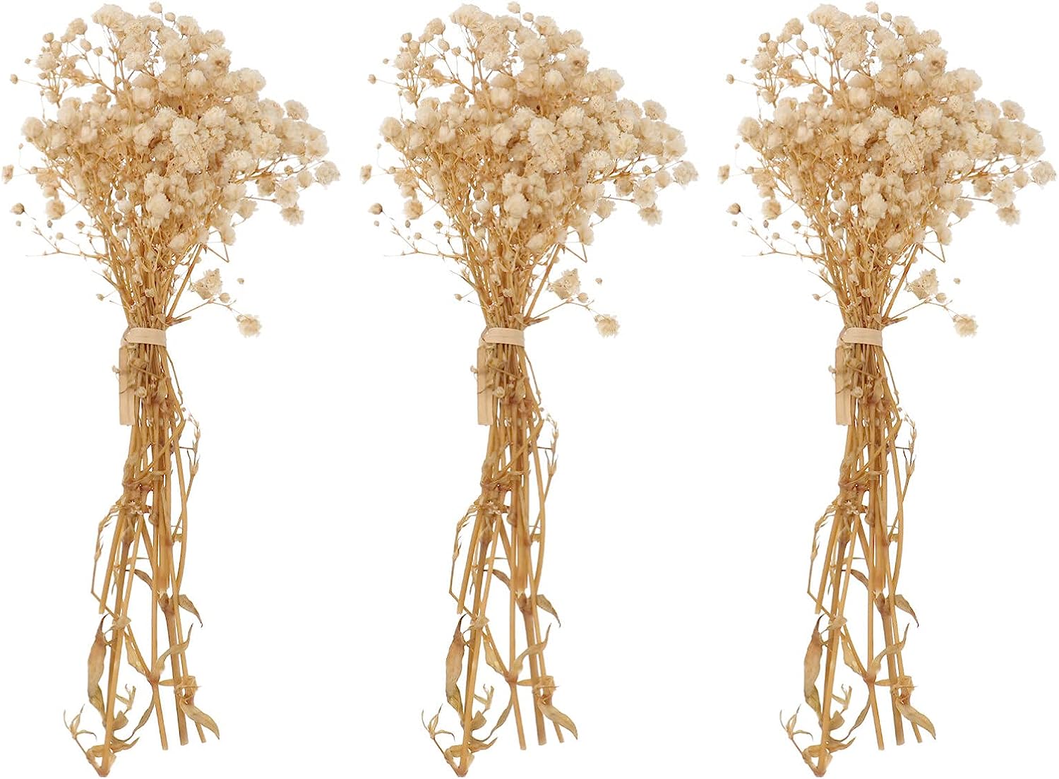 dried_flower - preserved_flower - fake_flower - 3Bunches Dried Babys Breath Flower Bouquets Natural Gypsophila Branches - Molly Garden - Molly_Garden_Floral