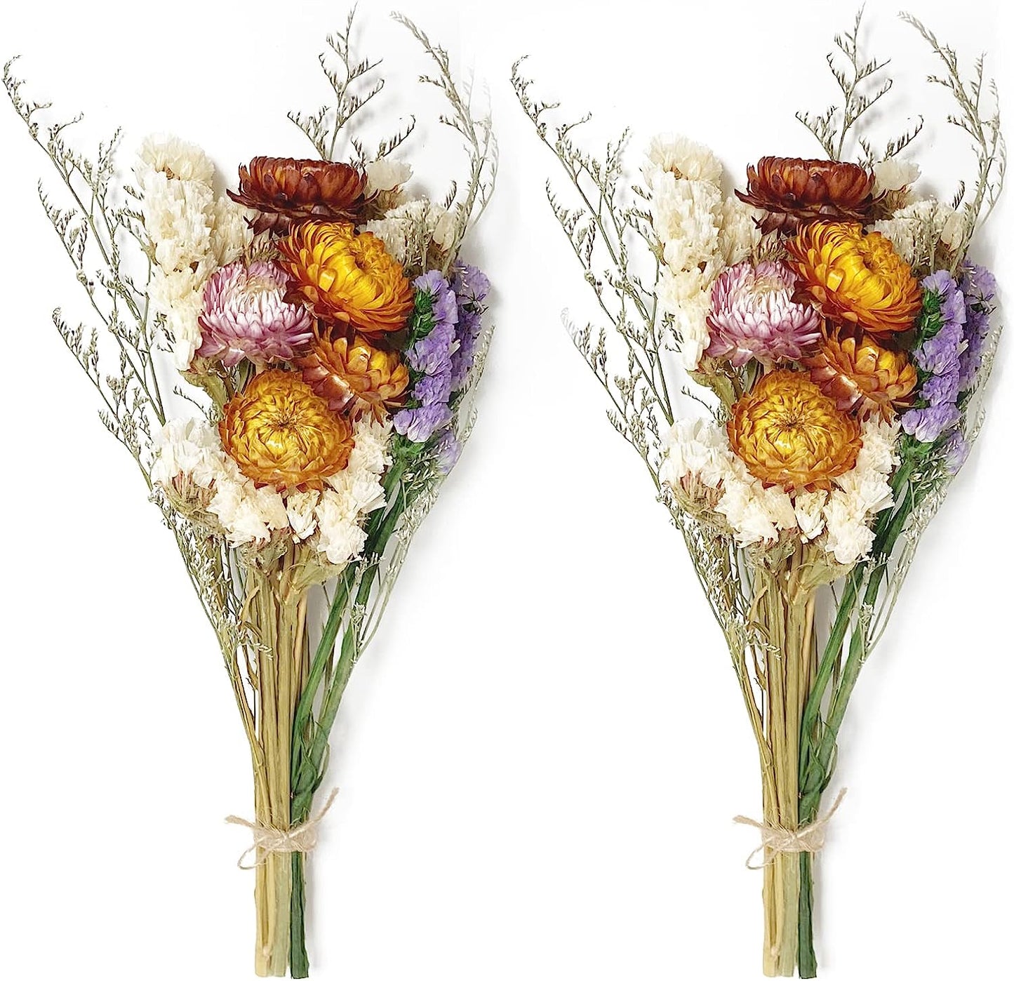 dried_flower - preserved_flower - fake_flower - 2Packs of Caspia Statice/Sea Lavender Dried Flower Bouquets 100% Natural - Molly Garden - Molly_Garden_Floral
