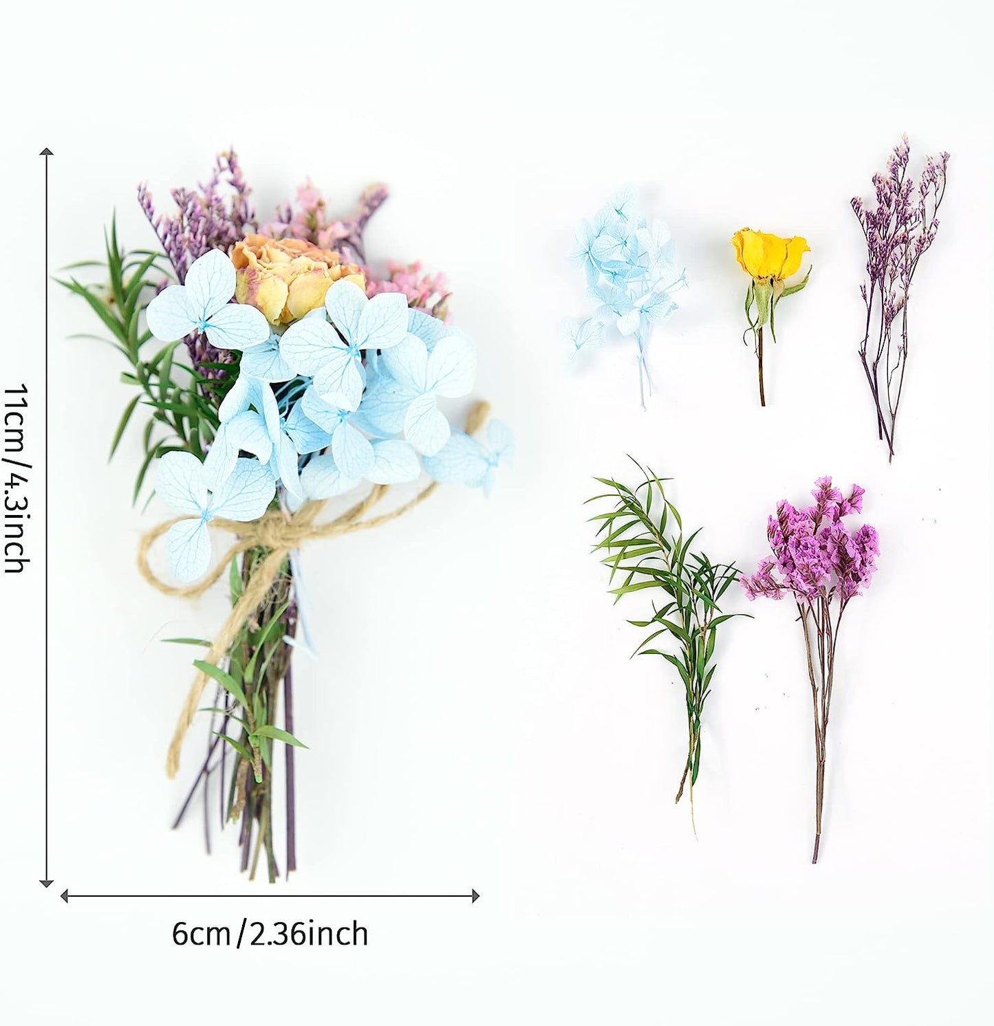 dried_flower - preserved_flower - fake_flower - 13Pcs Mini Dried Flower Bouquet Natural Forget Me Myosotis Sylvatica Babysbreath - Molly Garden - Molly_Garden_Floral