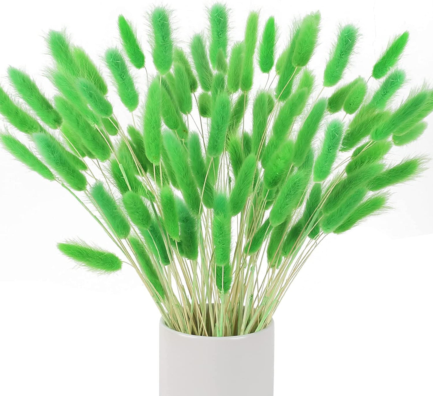 dried_flower - preserved_flower - fake_flower - 120Pcs Dried Bunny Tails Flowers Rabbit Tail Grass Lagurus Ovatus Bouquet - Molly Garden - Molly_Garden_Floral
