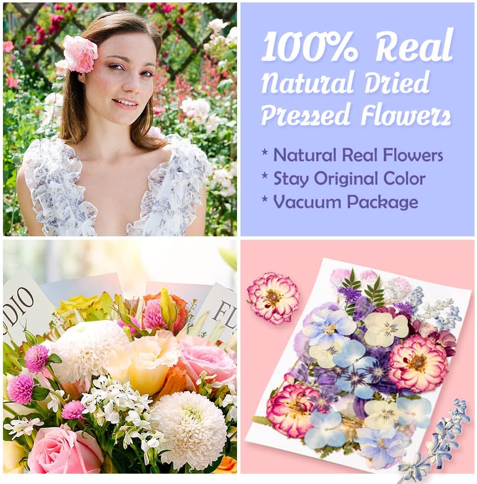 dried_flower - preserved_flower - fake_flower - 35+Pcs Flowers for Resin Model Real Pressed Dry Leaves Bulk Natural Herbs Kit - Molly Garden - Molly_Garden_Floral