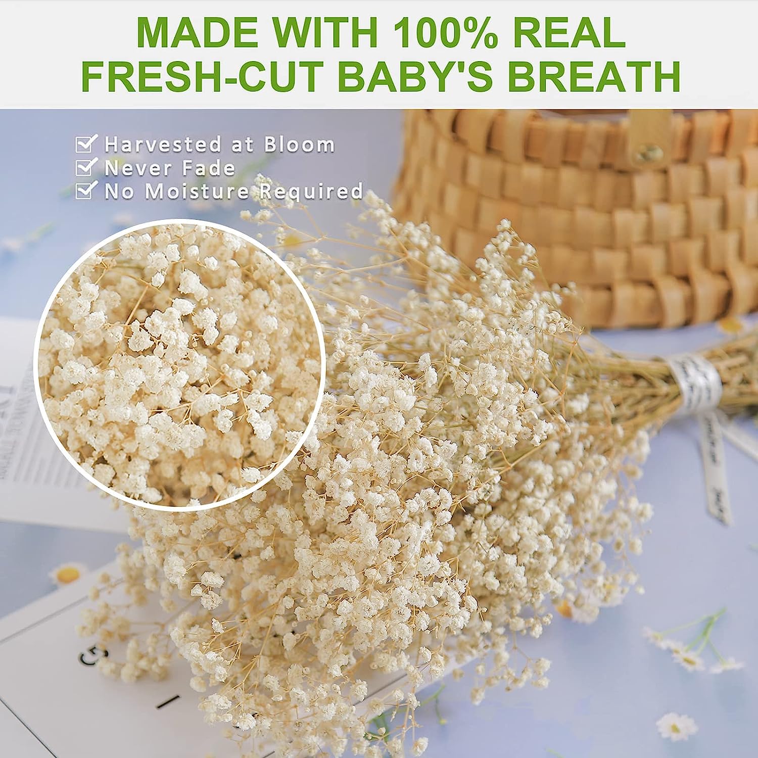 dried_flower - preserved_flower - fake_flower - 2500+Dried Babys Breath Flowers Bouquet Natural White Dry Flowers Bulk - Molly Garden - Molly_Garden_Floral