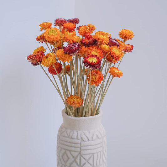 dried_flower - preserved_flower - fake_flower - 20Pcs Natural Dried Straw Flower Bouquet Daisies Flower Arrangement - Molly Garden - Molly_Garden_Floral