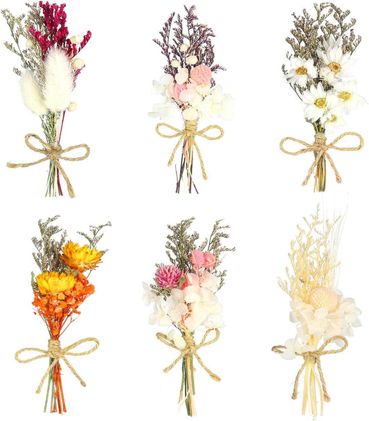 dried_flower - preserved_flower - fake_flower - 6Pcs Mini Dried Flowers Bouquet Mixed Natural Floral for DIY Crafts - Molly Garden - Molly_Garden_Floral