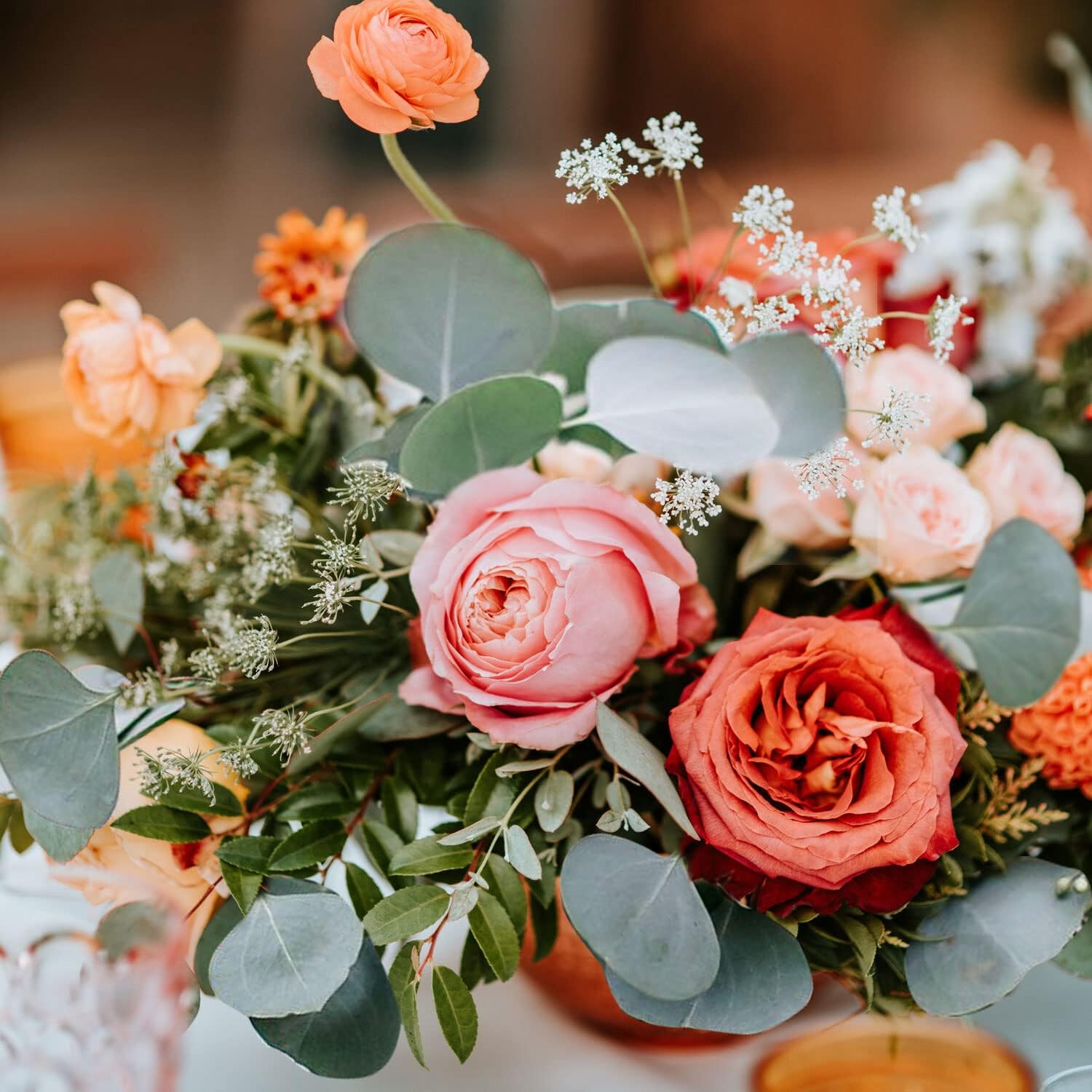 dried_flower - preserved_flower - fake_flower - 7-10Pcs 100% Natural Silver Dollar Leaves Dried Preserved Eucalyptus Stems - Molly Garden - Molly_Garden_Floral
