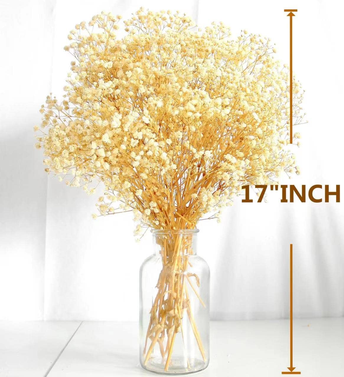 dried_flower - preserved_flower - fake_flower - 3000+Head Ivory White Babys Breath Flower Bouquet with Dry Floral - Molly Garden - Molly_Garden_Floral