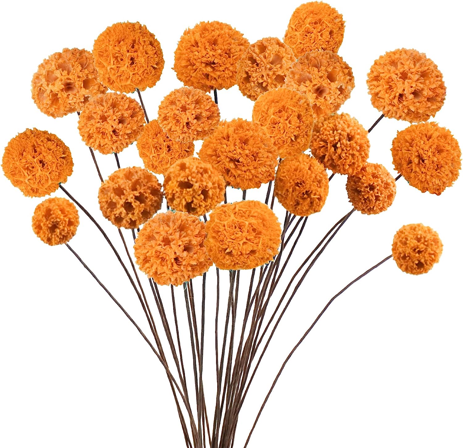 dried_flower - preserved_flower - fake_flower - 24Pcs Dried Craspedia Billy Balls Flowers 18” Natural Floral Arrangements - Molly Garden - Molly_Garden_Floral