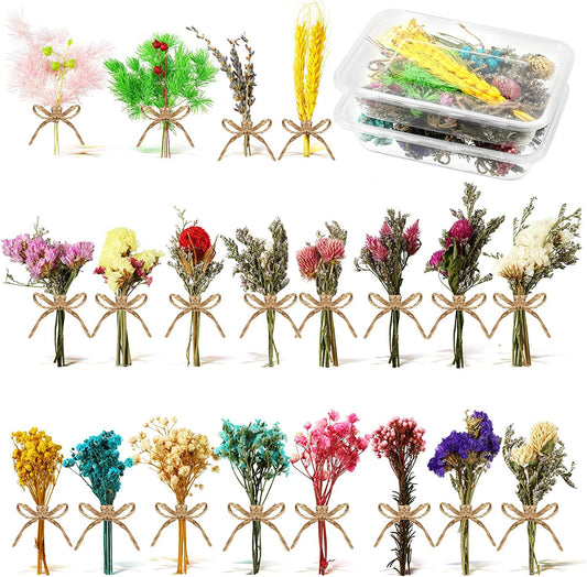 dried_flower - preserved_flower - fake_flower - 20Pcs Mini Dried Flowers Bouquets Natural Gypsophila Don't Forget Me Flower Bunch - Molly Garden - Molly_Garden_Floral