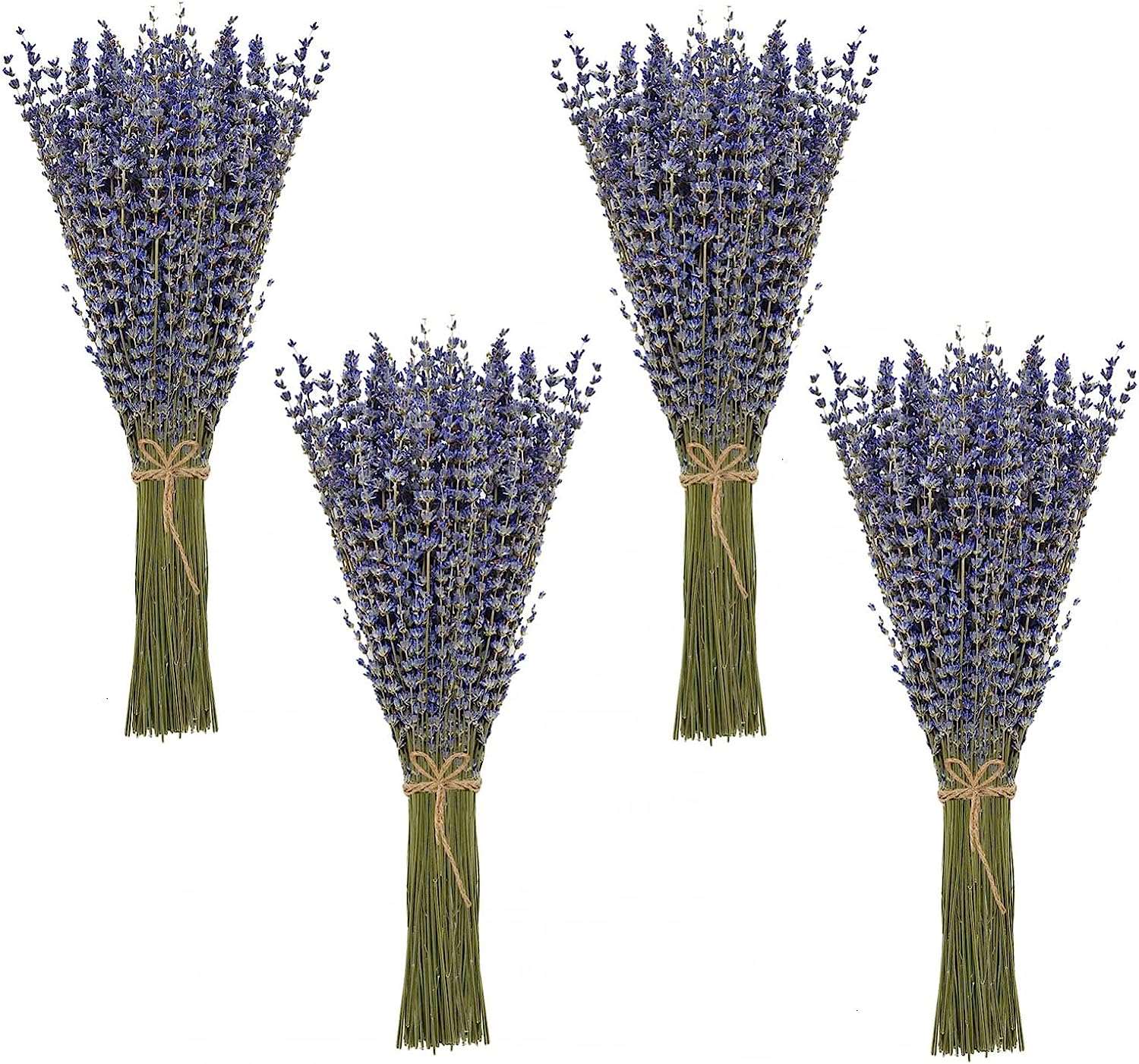 dried_flower - preserved_flower - fake_flower - 2Pack Bundles Dried Lavender Bundles Flowers 100% Natural for Home Decoration - Molly Garden - Molly_Garden_Floral