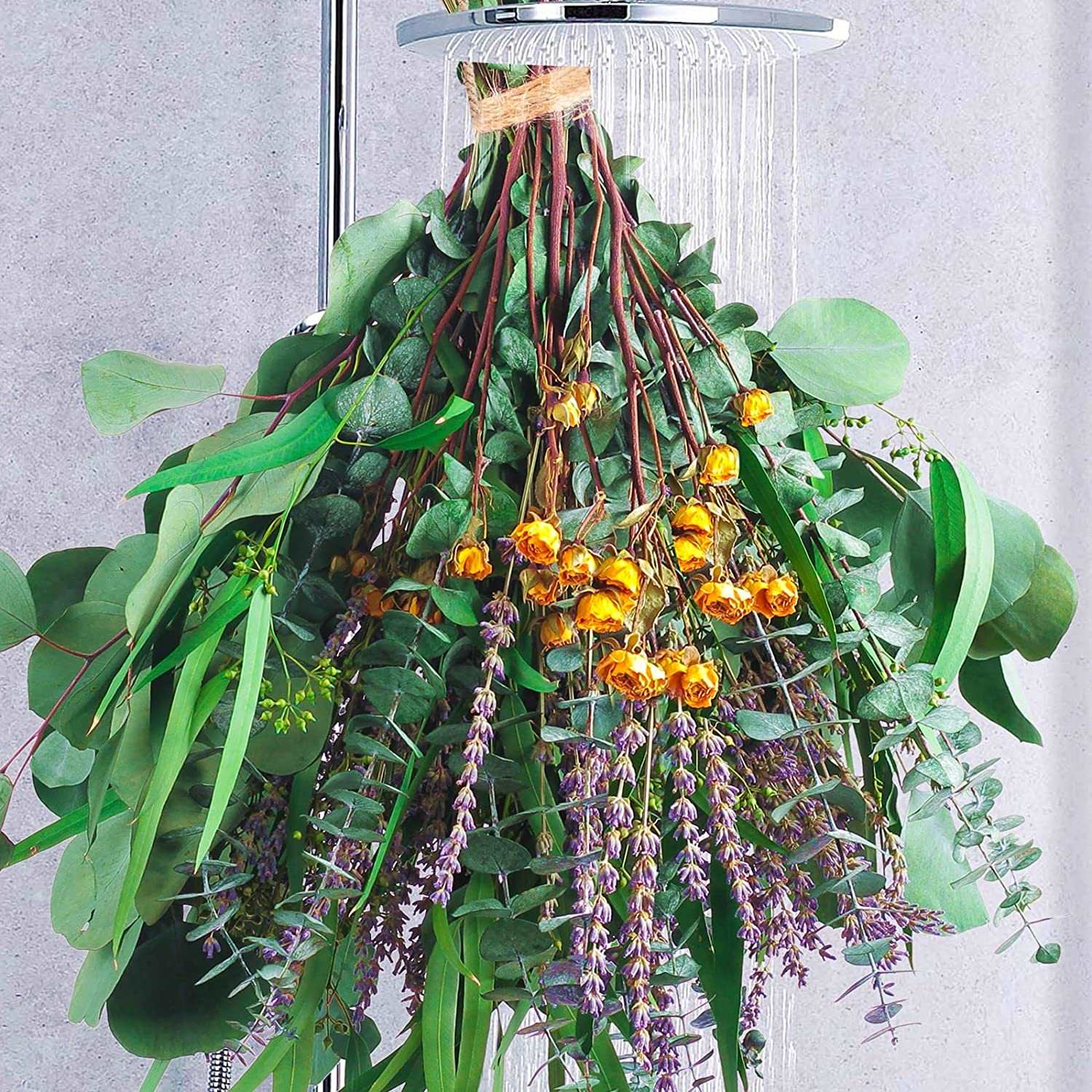 dried_flower - preserved_flower - fake_flower - 12Pcs Preserved Dried Blue Eucalyptus Stems Bundle 17" 100% Natural - Molly Garden - Molly_Garden_Floral
