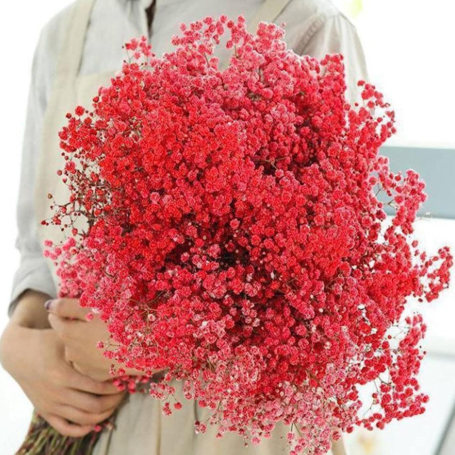 dried_flower - preserved_flower - fake_flower - 2500+Head Dried Babys Breath Flowers Bouquet 17'' Natural Gypsophila Branches - Molly Garden - Molly_Garden_Floral