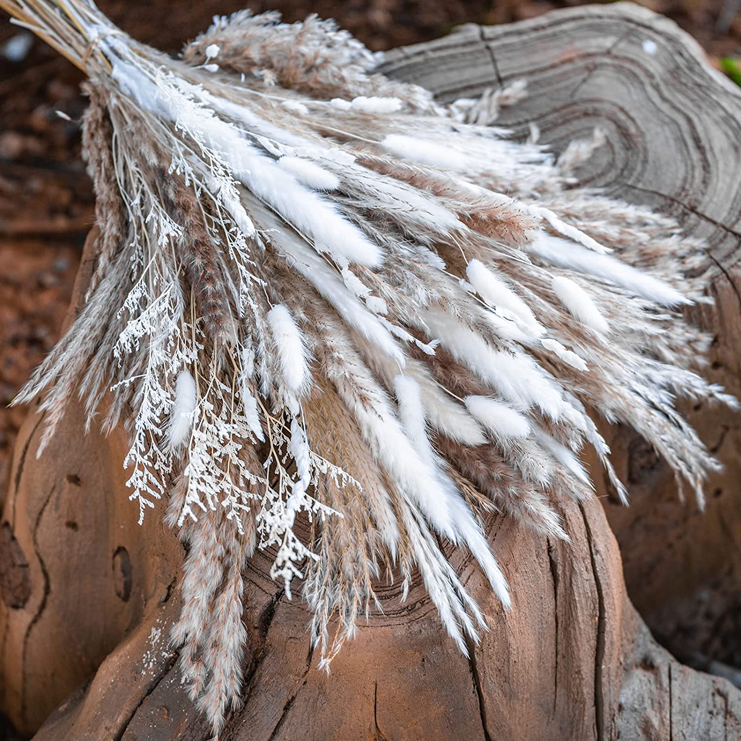 dried_flower - preserved_flower - fake_flower - 80Pcs Natural Dried Pampas Grass Bouquet Boho Home Decor Dry Phragmites - Molly Garden - Molly_Garden_Floral