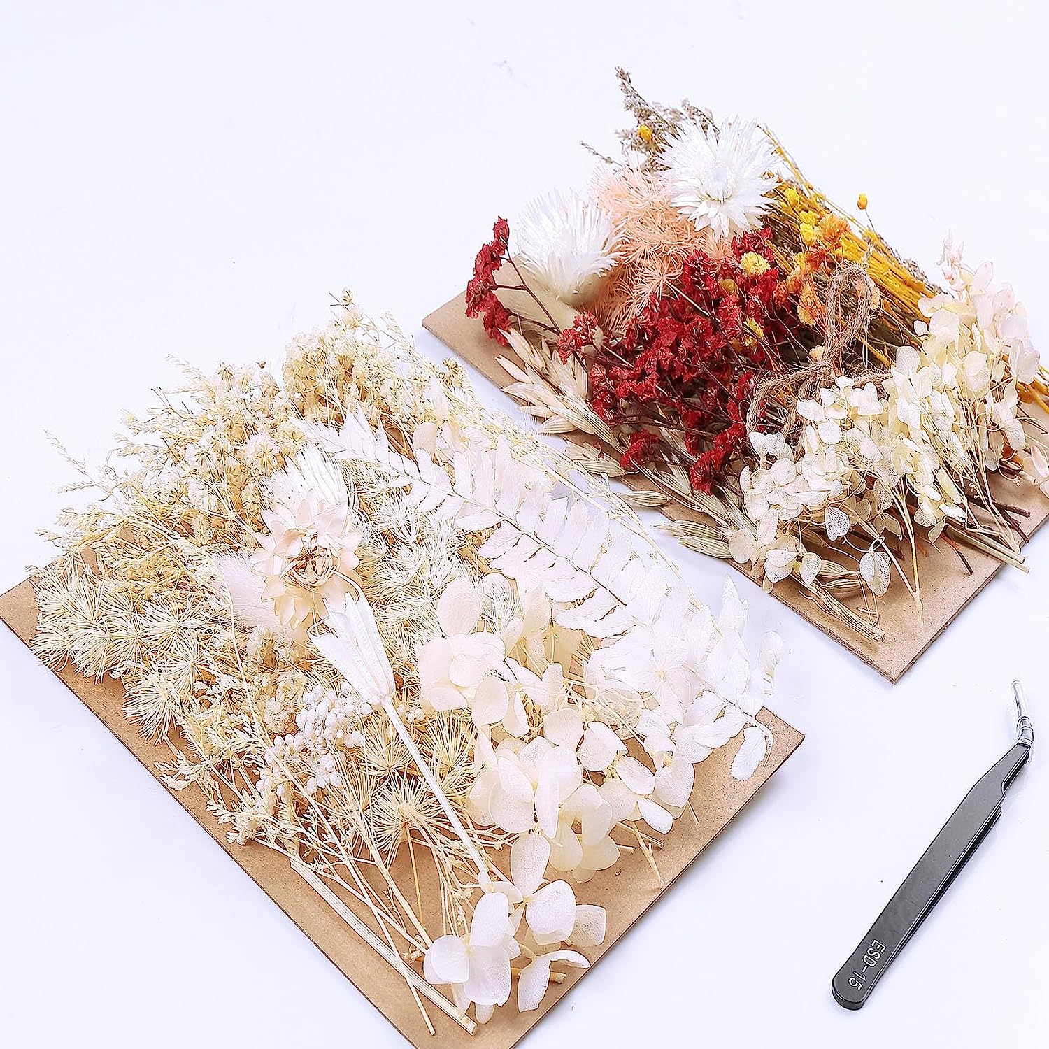 dried_flower - preserved_flower - fake_flower - Real Dried Leaf Flowers Plant Herbarium with Tweezers for Resin Molds Craft - Molly Garden - Molly_Garden_Floral