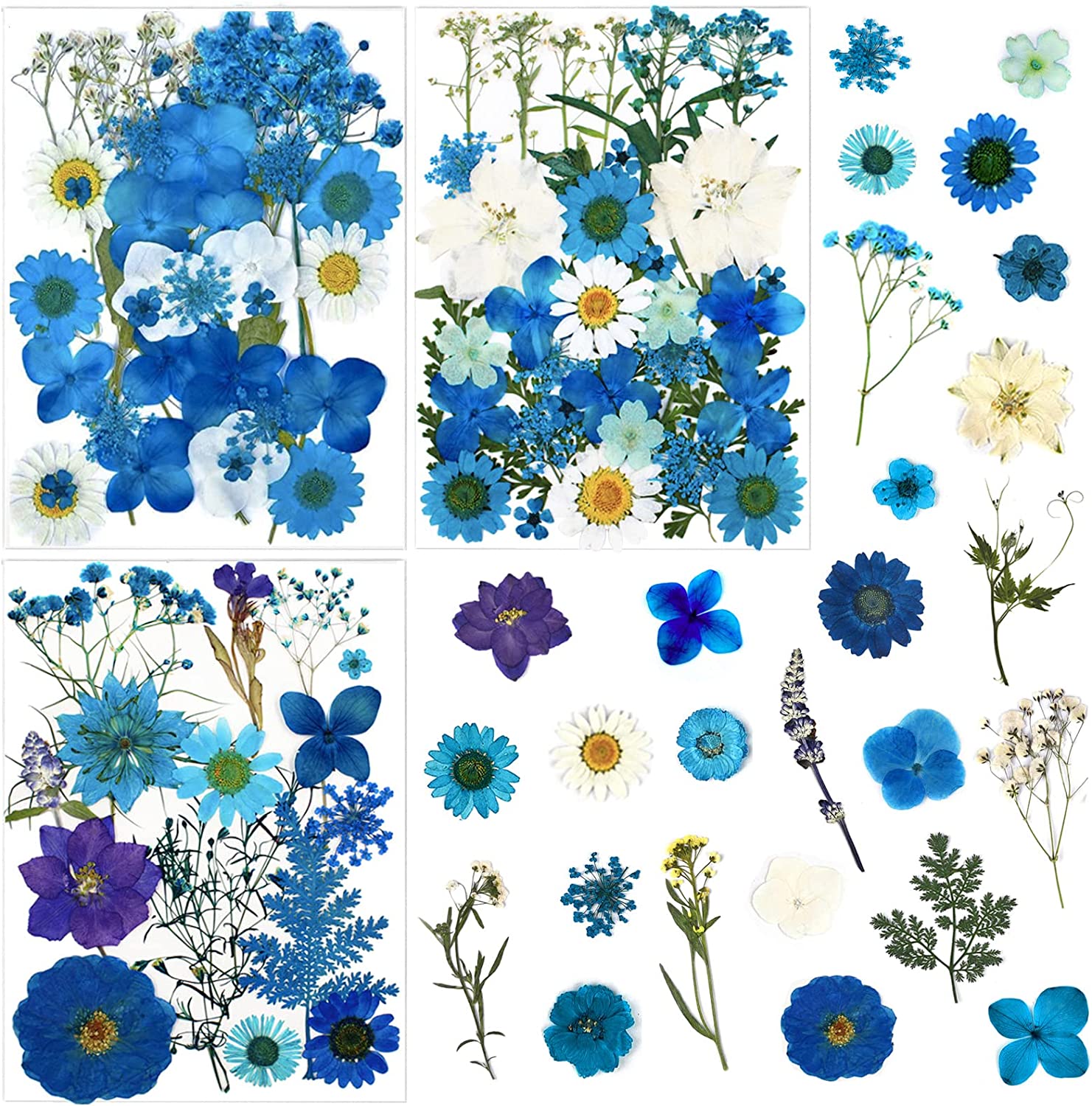 dried_flower - preserved_flower - fake_flower - Pressed Dried Flowers for Resin Molds Real Natural Floral Leave for DIY Crafts - Molly Garden - Molly_Garden_Floral