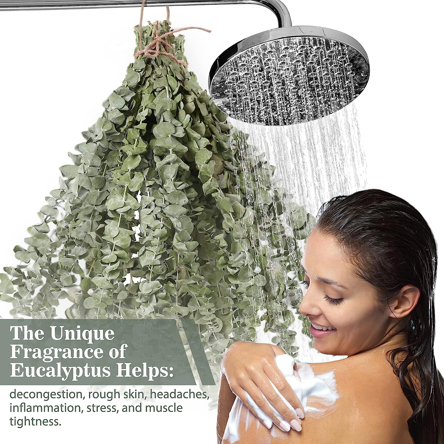 dried_flower - preserved_flower - fake_flower - 14Pcs Dried Eucalyptus Plant Stems for Shower 100% Natural Leaves 17" Branches - Molly Garden - Molly_Garden_Floral