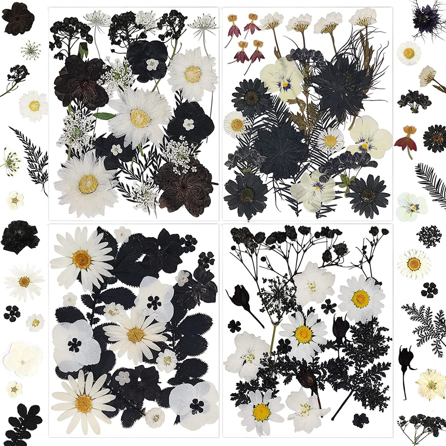 dried_flower - preserved_flower - fake_flower - Pressed Dried Flowers for Resin Molds Real Natural Floral Leave for DIY Crafts - Molly Garden - Molly_Garden_Floral