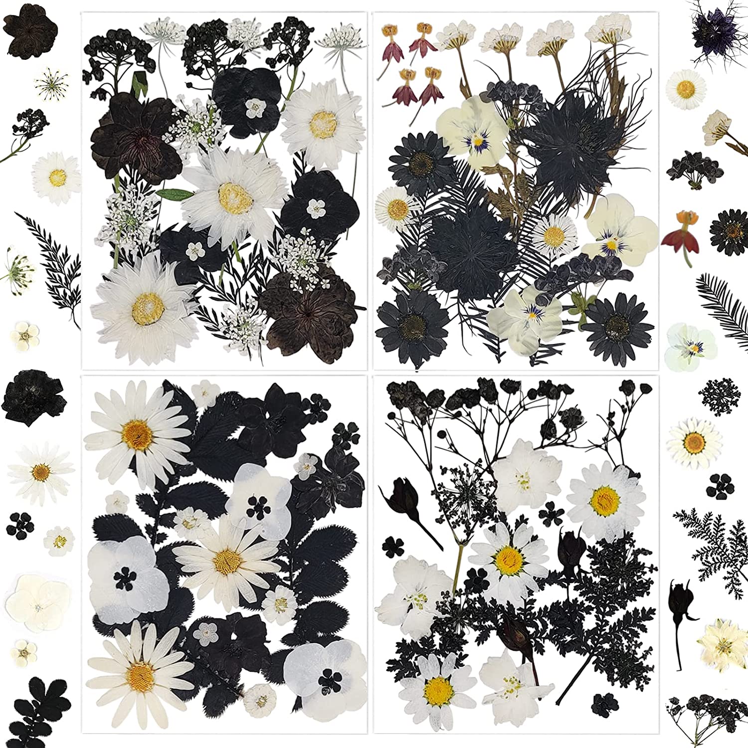 dried_flower - preserved_flower - fake_flower - Pressed Dried Flowers for Resin Molds Real Natural Floral Leave for DIY Crafts - Molly Garden - Molly_Garden_Floral