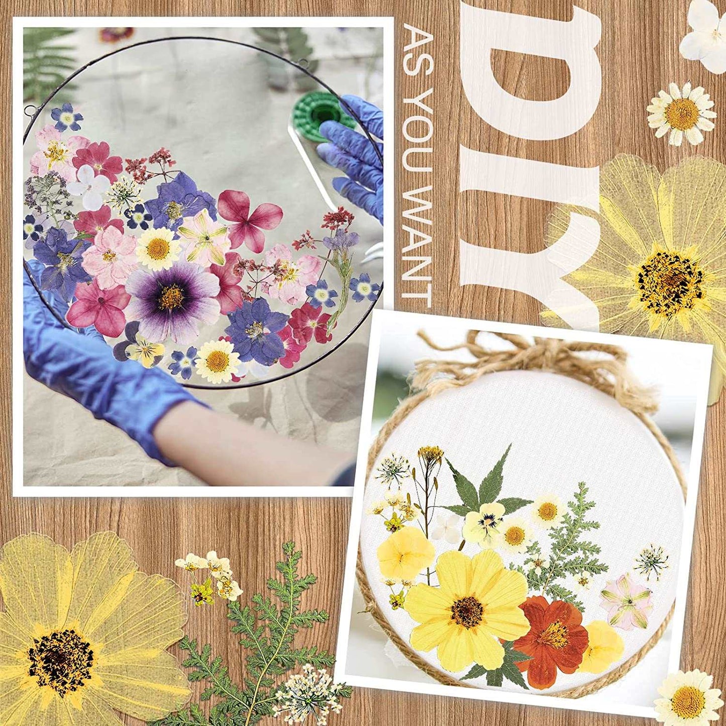 dried_flower - preserved_flower - fake_flower - Pressed Flowers Resin for Resin Mold Real Natural Daisy Dried Leaves - Molly Garden - Molly_Garden_Floral